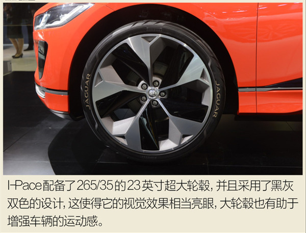 wq877878778.jpg